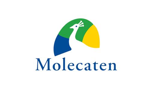 Molecaten.nl reviews, beoordelingen en ervaringen