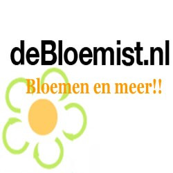 DeBloemist.nl reviews, beoordelingen en ervaringen